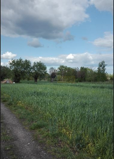 Działka Sprzedaż Kiełpin