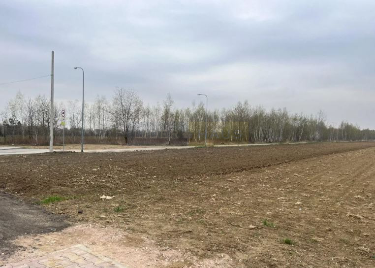 Działka Sprzedaż Dziekanów Nowy 1
