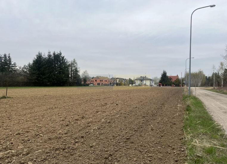 Działka Sprzedaż Dziekanów Nowy 2