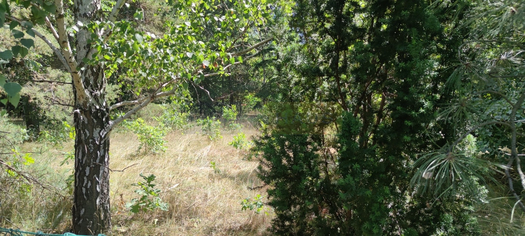 Działka Sprzedaż Dziekanów Nowy 8