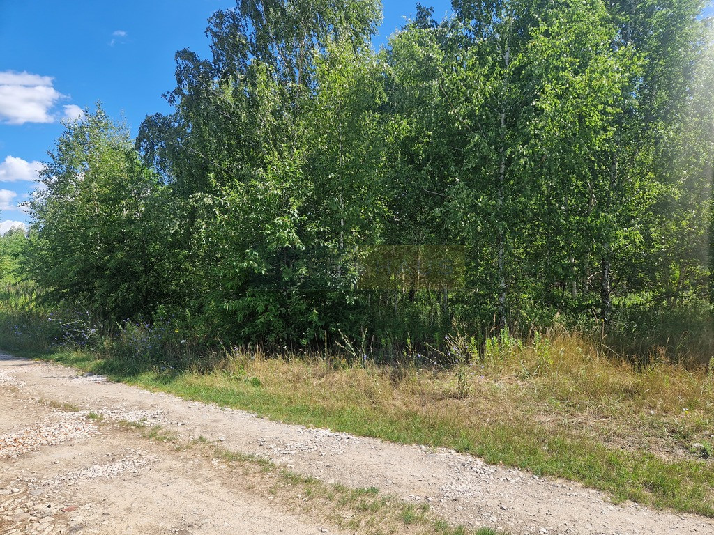 Działka Sprzedaż Dziekanów Nowy 14