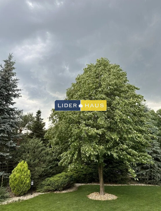 Dom Sprzedaż Łomianki 13