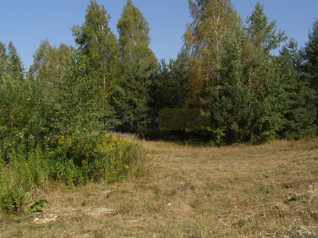 Działka Sprzedaż Izabelin-Dziekanówek 9