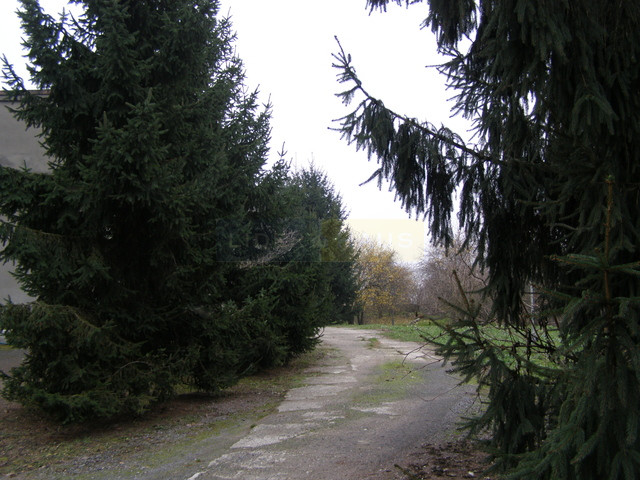 Działka Sprzedaż Szeligi