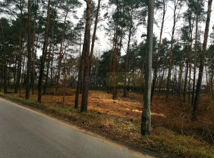 Działka Sprzedaż Czosnów