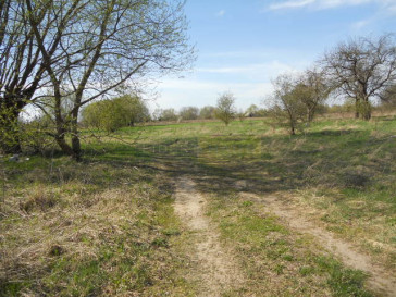 Działka Sprzedaż Łomianki