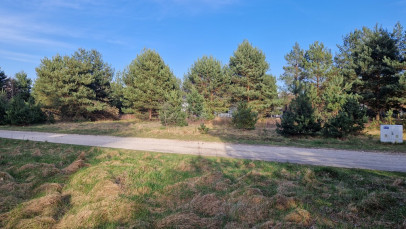 Działka Sprzedaż Dziekanów Polski