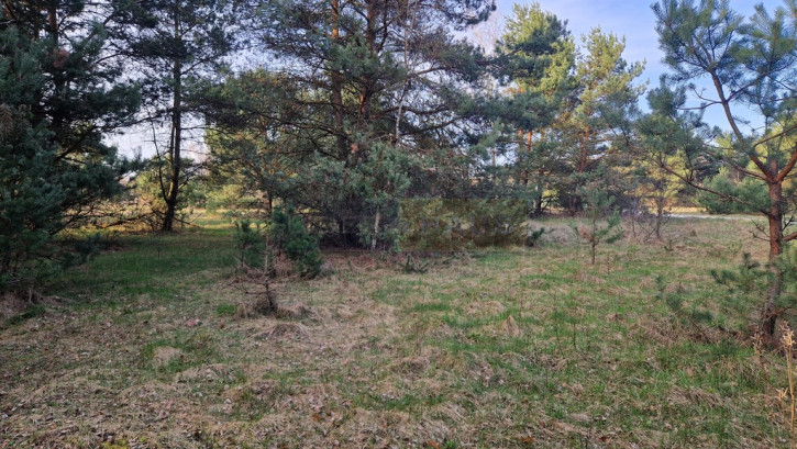 Działka Sprzedaż Dziekanów Polski 1