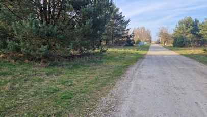 Działka Sprzedaż Dziekanów Polski