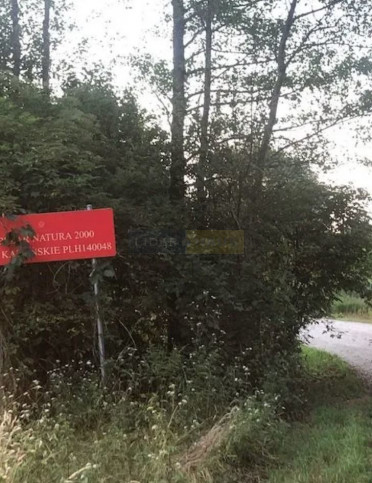 Działka Sprzedaż Dębina 5