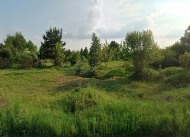Działka Sprzedaż Łomna