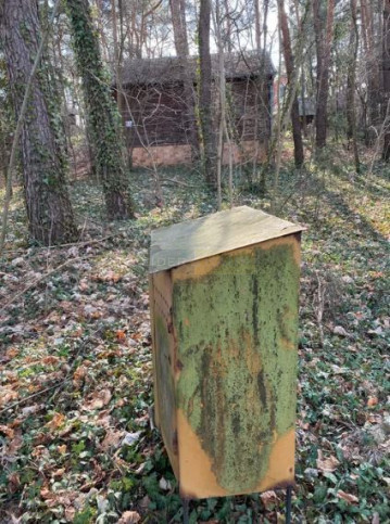 Działka Sprzedaż Łomianki Dąbrowa Leśna 2