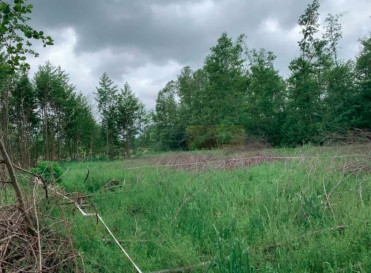 Działka Sprzedaż Klaudyn