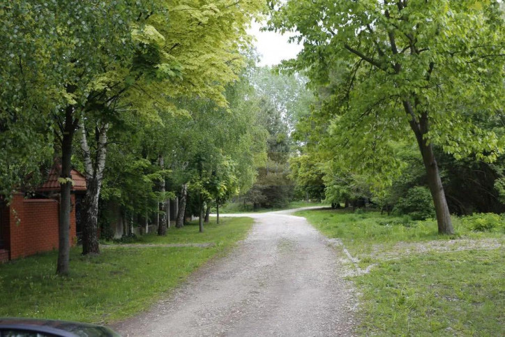 Działka Sprzedaż Wyględy 3