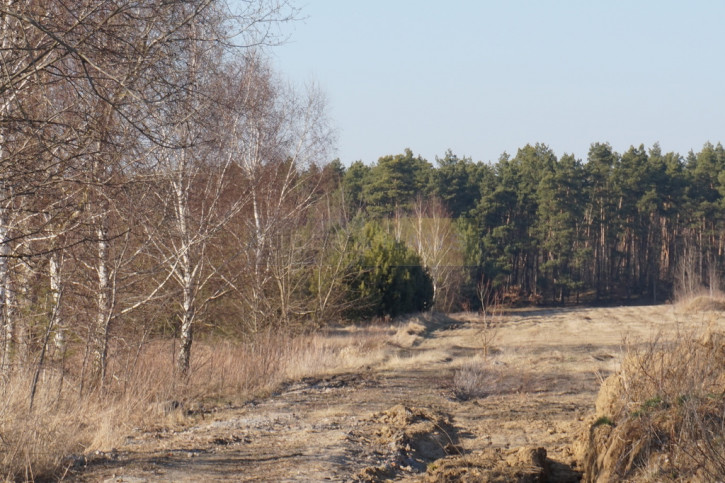 Działka Sprzedaż Jesionka 8