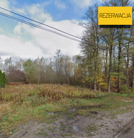 Działka Sprzedaż Sadowa