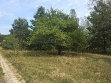 Działka Sprzedaż Pieńków