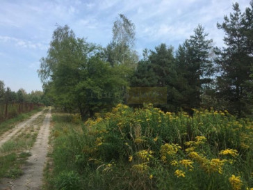 Działka Sprzedaż Pieńków