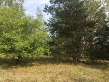 Działka Sprzedaż Pieńków