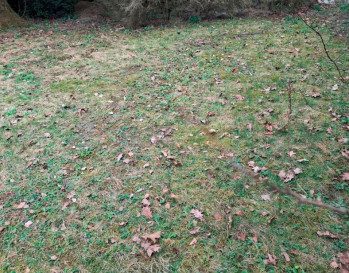 Działka Sprzedaż Dąbrowa