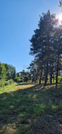 Działka Sprzedaż Kazuń-Bielany