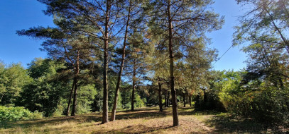 Działka Sprzedaż Kazuń-Bielany