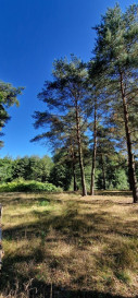 Działka Sprzedaż Kazuń-Bielany