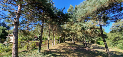 Działka Sprzedaż Kazuń-Bielany