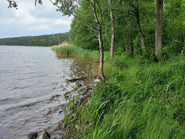 Działka Sprzedaż Mikołajki