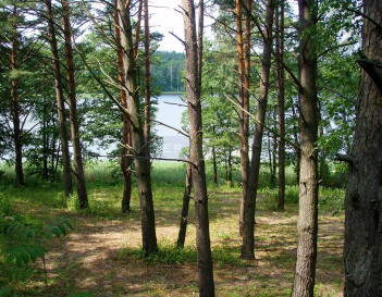 Działka Sprzedaż Mikołajki