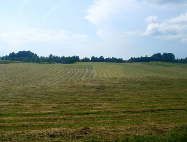 Działka Sprzedaż Warszawa 13