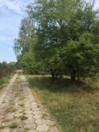 Działka Sprzedaż Pieńków