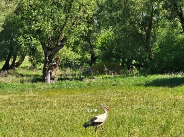 Działka Sprzedaż Kępiaste 2