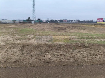 Działka Sprzedaż Czosnów