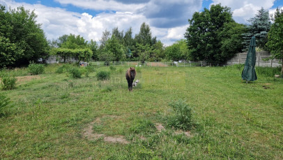 Dom Sprzedaż Dziekanów Nowy