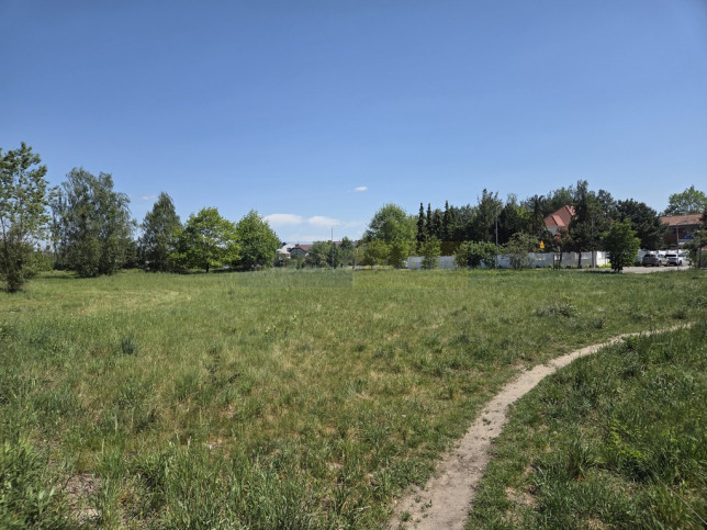Działka Sprzedaż Dąbrowa 2