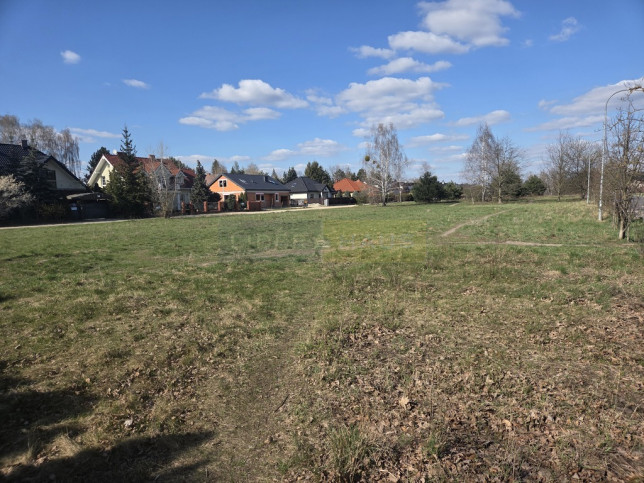 Działka Sprzedaż Dąbrowa 6