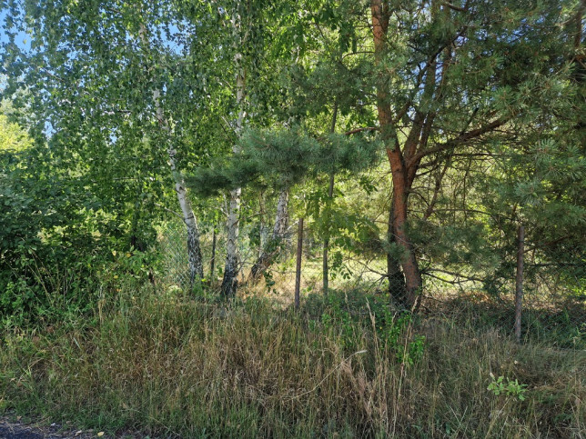 Działka Sprzedaż Dziekanów Nowy 1