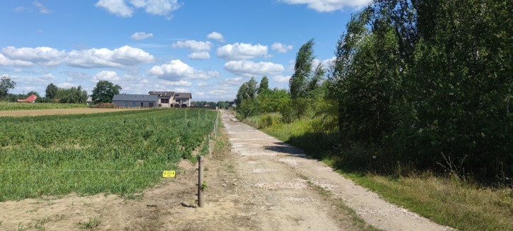Działka Sprzedaż Dziekanów Nowy 4