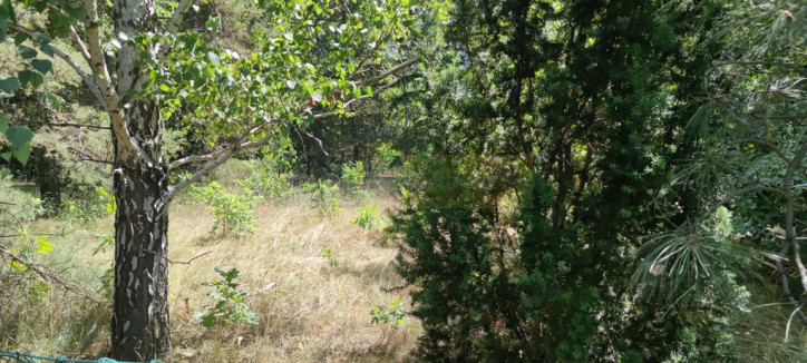 Działka Sprzedaż Dziekanów Nowy 8