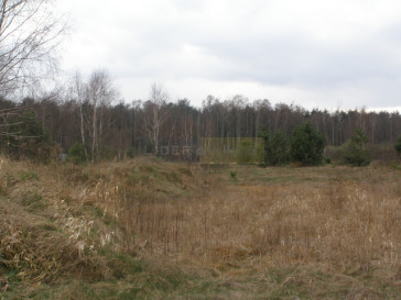 Działka Sprzedaż Dębina