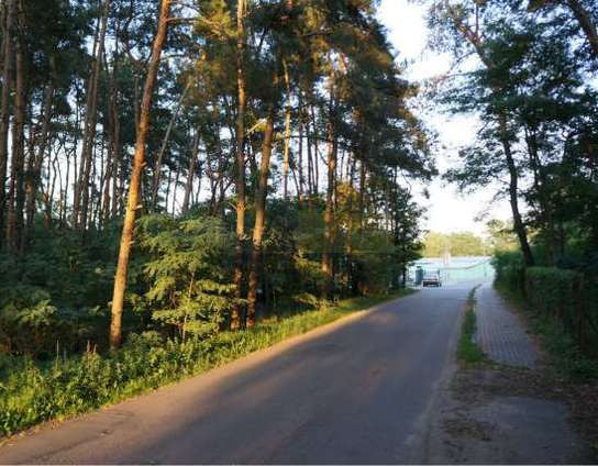 Działka Sprzedaż Czosnów 1