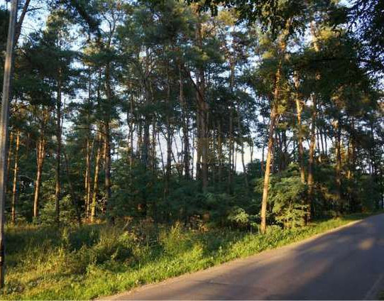 Działka Sprzedaż Czosnów 2