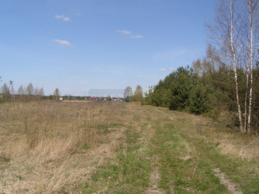 Działka Sprzedaż Nowe Grochale