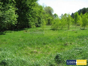 Działka Sprzedaż Czosnów
