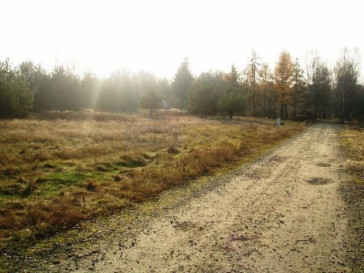 Działka Sprzedaż Dziekanów Leśny