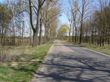 Działka Sprzedaż Nowe Grochale