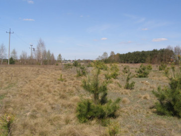 Działka Sprzedaż Nowe Grochale