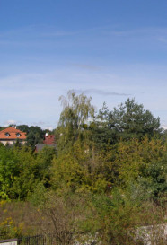 Lokal Wynajem Łomianki