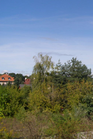 Lokal Sprzedaż Łomianki 7